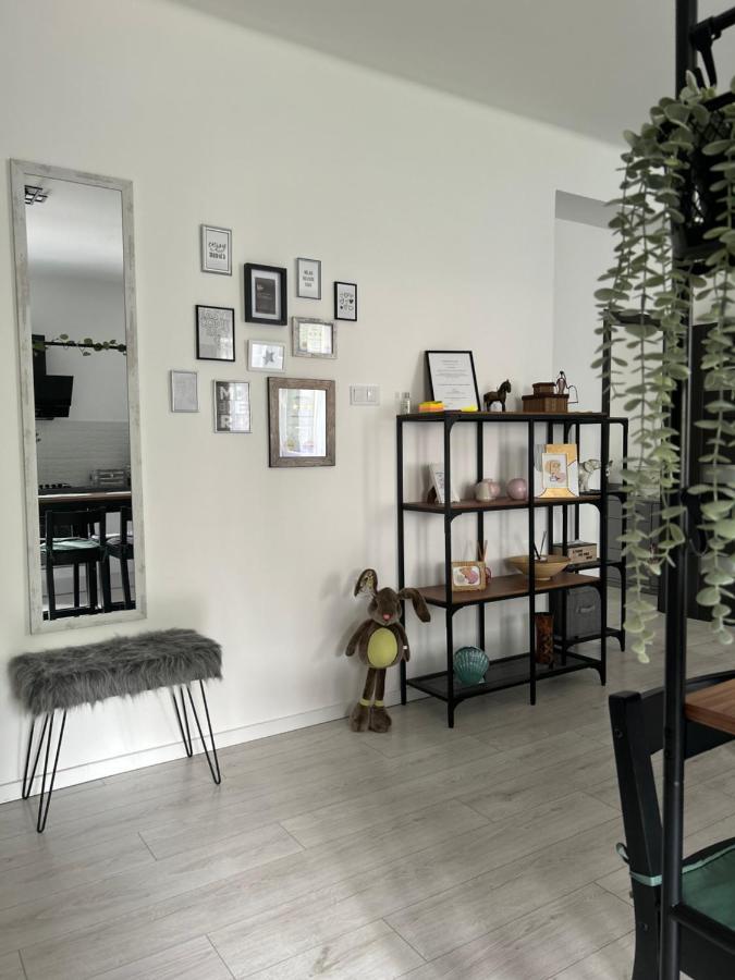 Sophie'S Urban Nest Apartment Miskolc Luaran gambar
